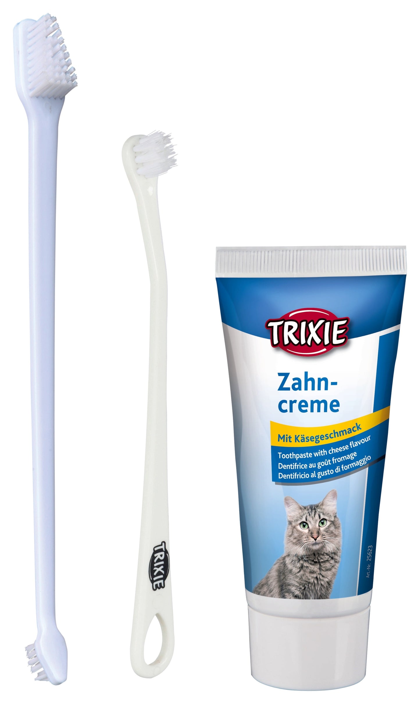Tannheilsu sett fyrir ketti